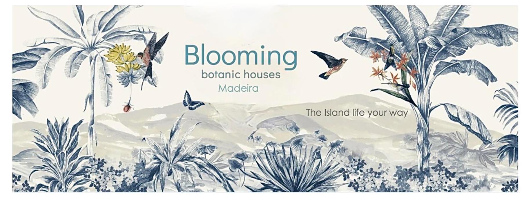 Blooming Botanic Houses Estreito Da Calheta Dış mekan fotoğraf