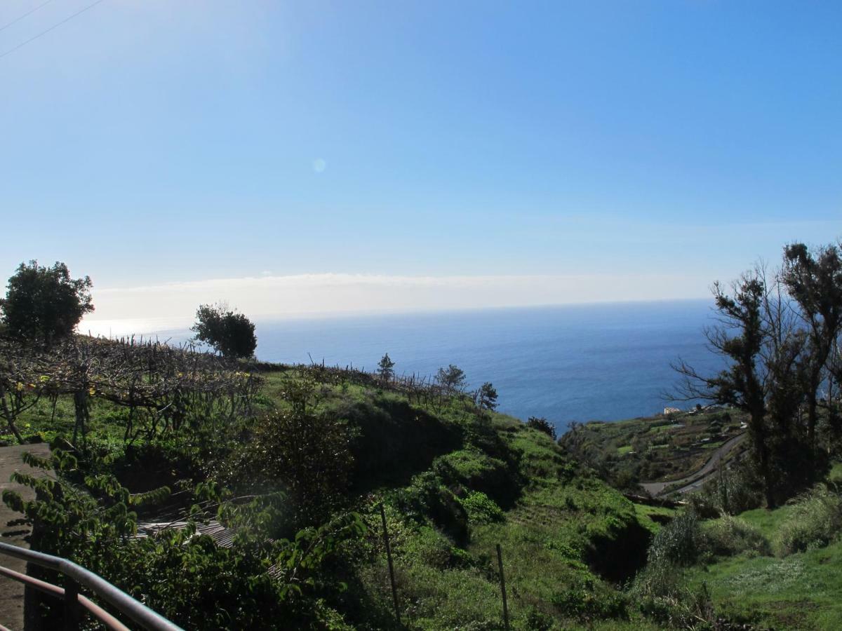 Blooming Botanic Houses Estreito Da Calheta Dış mekan fotoğraf