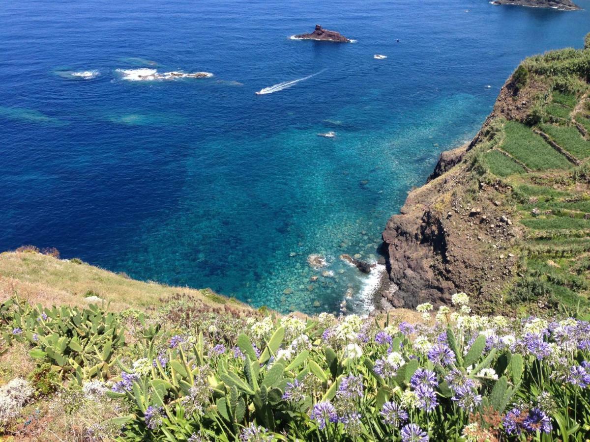 Blooming Botanic Houses Estreito Da Calheta Dış mekan fotoğraf
