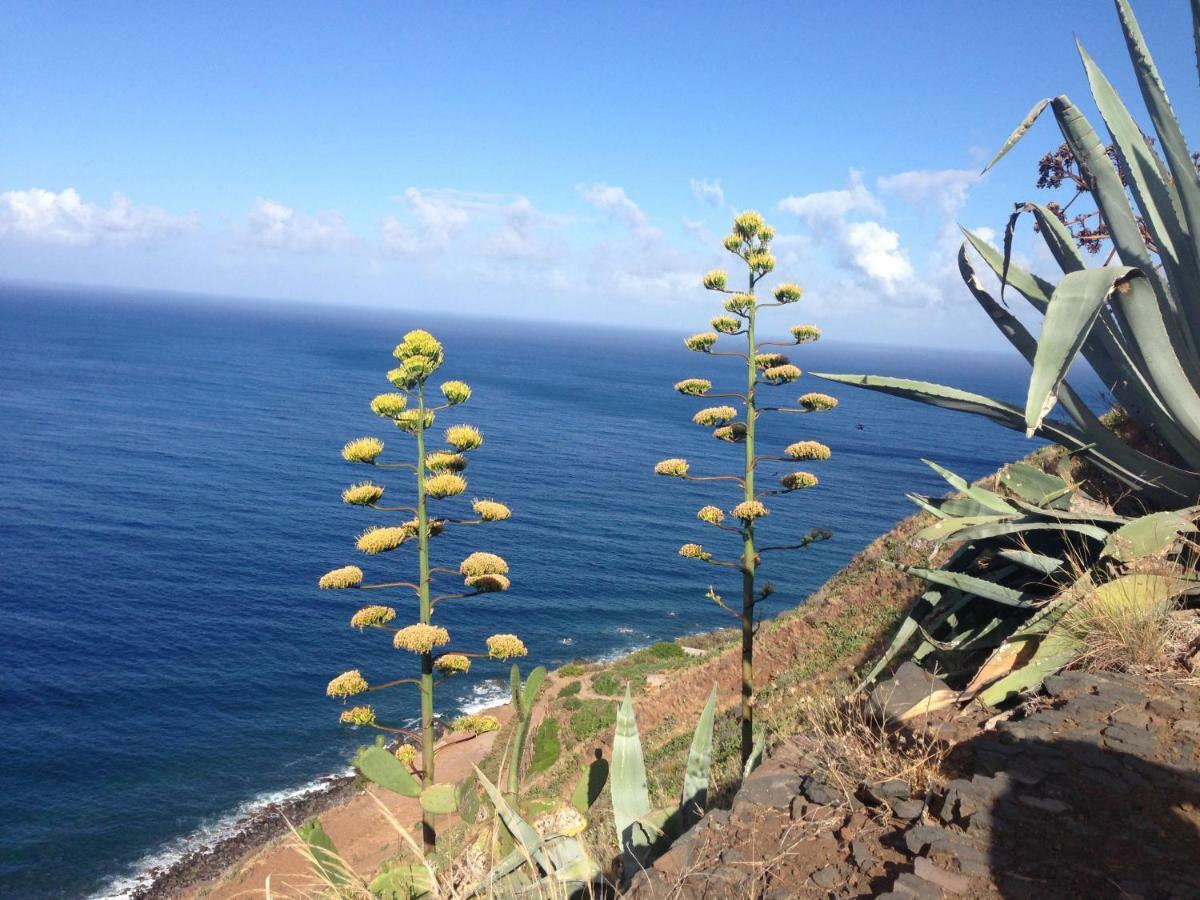Blooming Botanic Houses Estreito Da Calheta Dış mekan fotoğraf