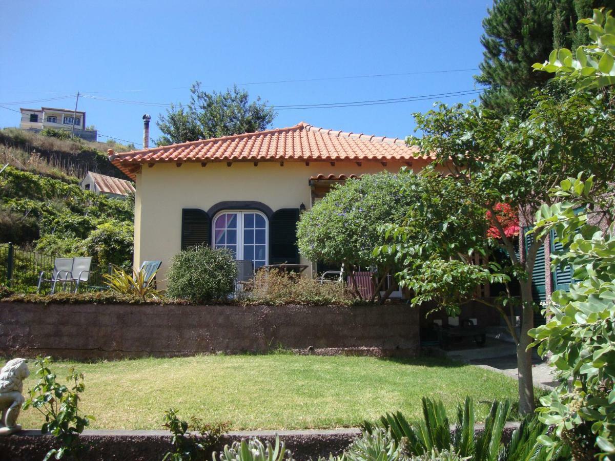Blooming Botanic Houses Estreito Da Calheta Dış mekan fotoğraf