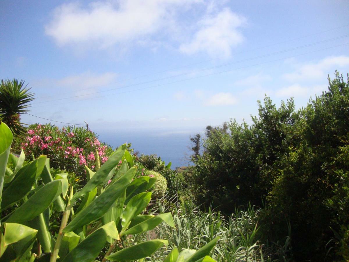 Blooming Botanic Houses Estreito Da Calheta Dış mekan fotoğraf