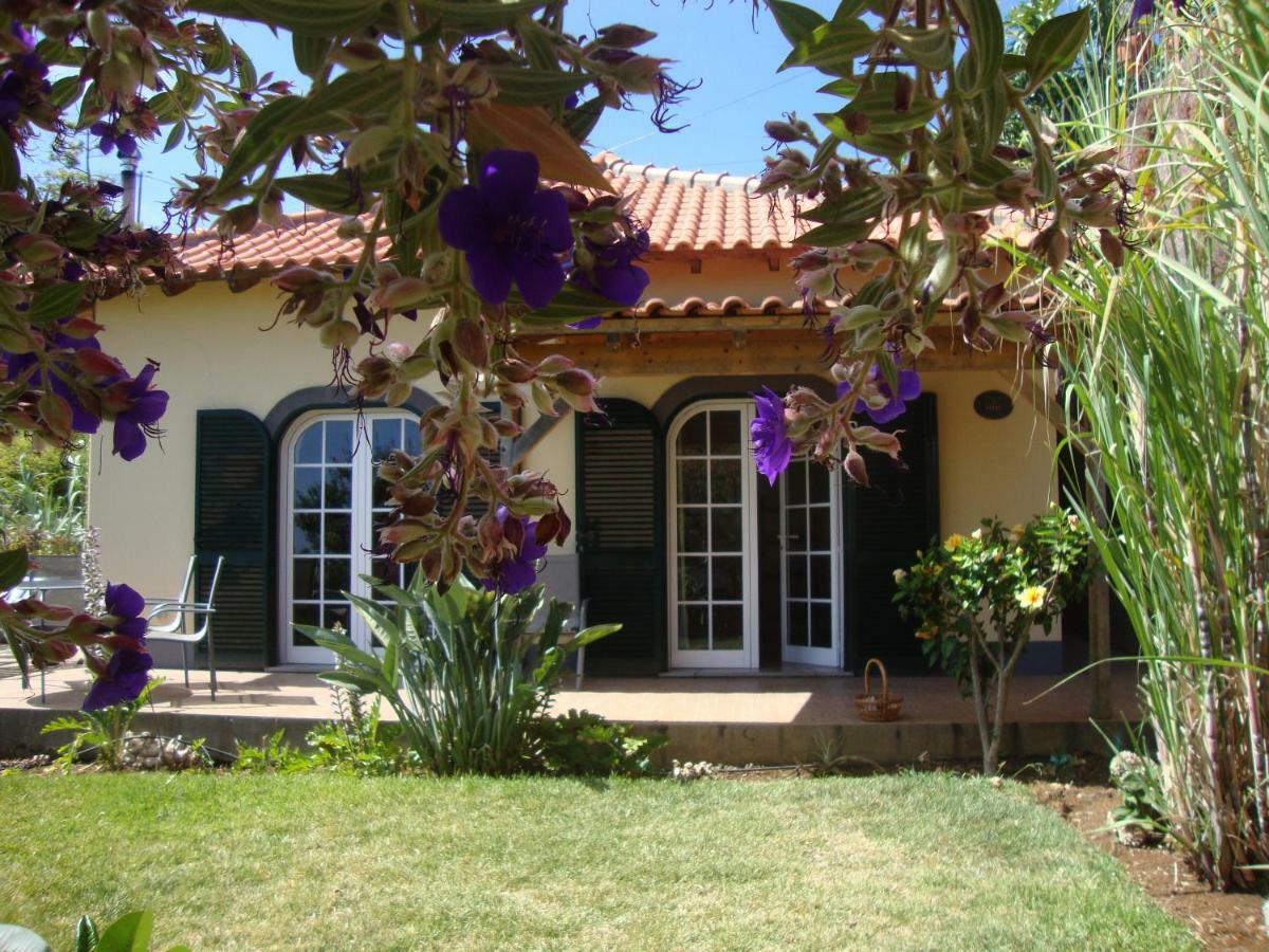 Blooming Botanic Houses Estreito Da Calheta Dış mekan fotoğraf